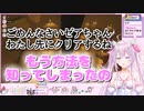 【にじさんじ海外】魔法少女の突発ジャンプタワーコラボまとめ【ナ セラ】