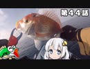 【VOICEROIDフィッシング】あかりちゃんと行くカヤックフィッシング第44話