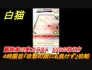 白猫　冒険家の実力テスト　４時限目「攻撃の雨にも負けず」攻略　SSSの取り方　茶熊２０２２新クエスト　【白猫プロジェクト】