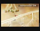 【ゲーム実況】botanicula 2本目