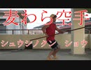 【空手古武道】☆棒☆　シュウシノクン　ショウ　