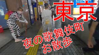 【国内旅行動画】【東京】　夜の歌舞伎町を散歩してみた♪