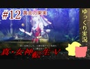 真・女神転生Vをゆっくりやるよ。#12