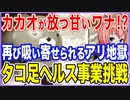 カカオが放つ甘いワナ！？再び吸い寄せられるアリ地獄！タコ足ヘルス事業にチョウセン！
