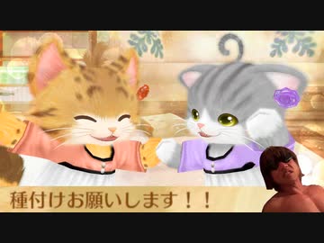 喋る猫に語録を教え倒したあとの絶叫怪文書マシーンたくにゃ.mp13