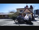 雑なカスタム紹介