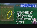 【DQX】No.342 誰も知らないドルボードレースグランプリの裏道検証【結月ゆかり】