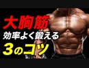【筋トレ】大胸筋を効率よく鍛えるための3つのコツ【ビーレジェンド プロテイン】
