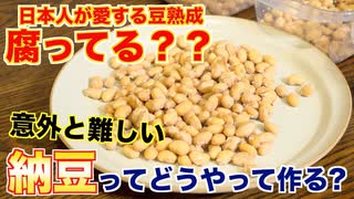 【豆熟成】納豆ってどうやって出来てるの？