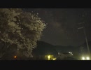 【星空の景色】夜明け前の桜と天の川