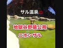 地獄谷野猿公苑・長野県