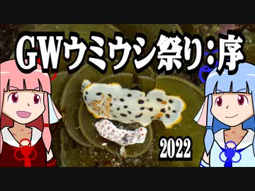 【琴葉姉妹の磯遊び】GWウミウシ祭り：序【VOICEROID解説】