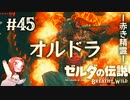 #45 ゼルダの伝説 ブレス オブ ザ ワイルド【赤き精霊 オルドラ】