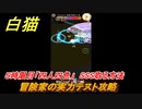 白猫　冒険家の実力テスト　５時限目「四人四色」攻略　SSS取る方法　茶熊２０２２新クエスト　【白猫プロジェクト】