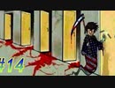 【 ランス6 初見実況プレイpart14】特に理由のない暴力がウィチタを襲う