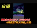 白猫　冒険家の実力テスト　５時限目「四人四色」攻略　SSS取り方　茶熊２０２２新クエスト　【白猫プロジェクト】