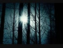 beethoven - pianosonata no.14 2nd movement