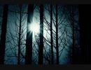 beethoven - pianosonata no.14 3rd movement
