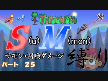 [ゆっくり実況]　S(u)M(mon)縛り　パート２５　[Terraria]