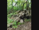 ロシア装甲車へのアンブッシュ攻撃を成功させる外国人義勇兵