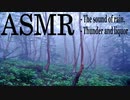 [ASMR] - 雨と雷とお酒と - The sound of rain, thunder and liquor [環境音]