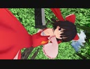 「Disorder」【東方MMD】