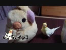 お爺ちゃんオカメと大きなオカメぬいぐるみ