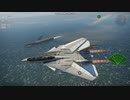 F-14A トムキャット