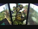 戦場の絆Ⅱ　メサなんとか494