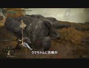 みんなはELDEN RING(エルデンリング）のクマちゃんはフロムゲーの糞モブランキングで何位？