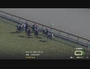 ついなちゃんのふいんきでウイポ9 2021の裏側192