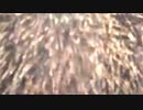 Tsubasa Hayashi - Fireworks (Music Video)
