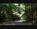 実話怪談～ピクニック～