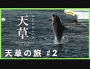 【一人旅】ジムニーで行く！車旅 イルカウォッチングと世界遺産 潜伏キリシタンを巡る旅 - 天草・崎津集落 編 2/2