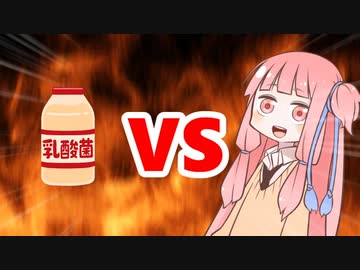 茜ちゃんVS乳酸菌