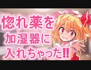 【ゆっくり茶番劇】惚れ薬を加湿器に入れちゃった!!『一話完結』