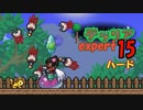 【ゲーム実況】アップデートされたテラリアを上級モードのハードで遊ぶ 15【テラリア】