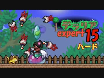【ゲーム実況】アップデートされたテラリアを上級モードのハードで遊ぶ 15【テラリア】