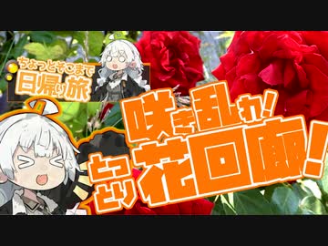 ぶらり気ままに日帰り旅 ＃咲き乱れ！とっとり花回廊【VOICEROID旅行】