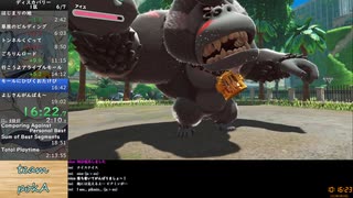 【Aチーム 第1区間】星のカービィディスカバリー Any%RTAリレー 19:04