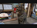 【第6回】片付けとあくびとベロベロ