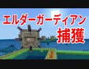 海底神殿エルダー捕獲