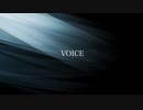 VOICE