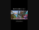 【番外編】ウーパールーパーの水槽づくり【マイクラ】