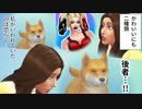 シムズ４行動欲求統計学～チューニング頑張った動画～【日記part2】