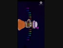 初めての動画東方mmdを出してみました良ければ見てください