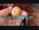 おっちゃんが１００日後にイケメンになる動画seasonⅢ ～２７日目『シートカバーを変えますた』