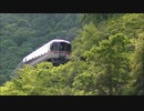 【のら】高山本線を走行するキハ85 その25 ～初夏～