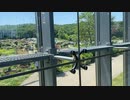 【生配信仕立て】国営越後丘陵公園のバラをみます