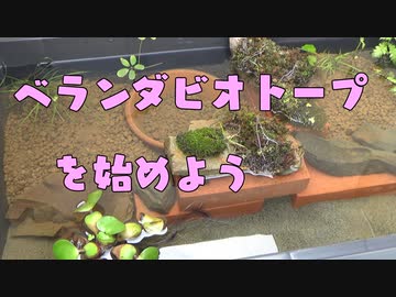 ベランダビオトープを始めよう
